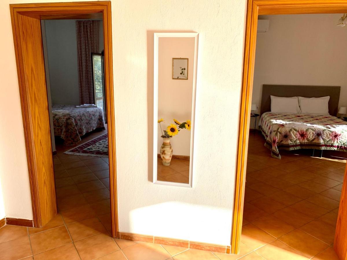 Guesthouse Villa Rosa ベラト エクステリア 写真